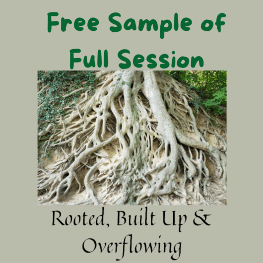 Rooted, Built Up & Overflowing Sample cover